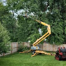 Best Tree Mulching  in Algonquin, MD